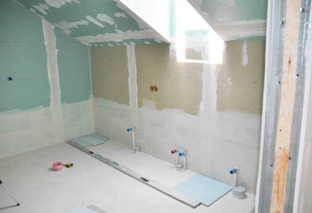 Best Asbestos and Lead Testing During Mold Inspection  in Duenweg, MO