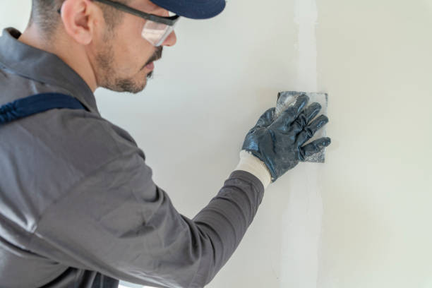 Best Mold Removal for HVAC Installations  in Duenweg, MO