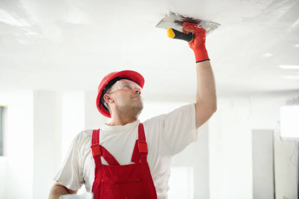 Best Mold Damage Restoration  in Duenweg, MO