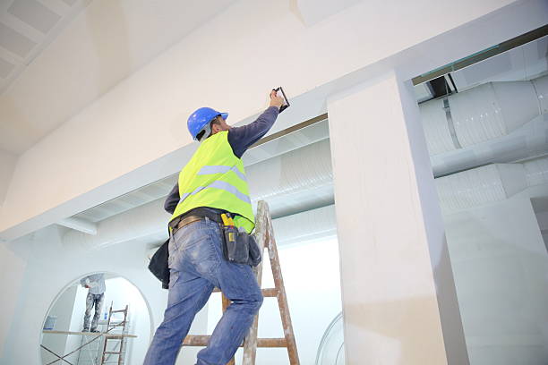 Best Attic Mold Removal  in Duenweg, MO