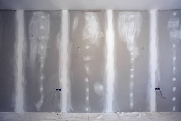 Best Mold Prevention Services  in Duenweg, MO